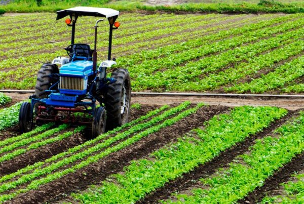 Agricultural