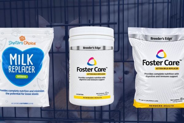 Revival Animal Health